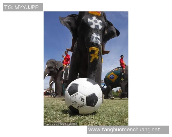 足球天才油笔:从街头少年到绿茵场的传奇崛起之路 足球天才油笔:从街头少年到绿茵场的传奇崛起之路