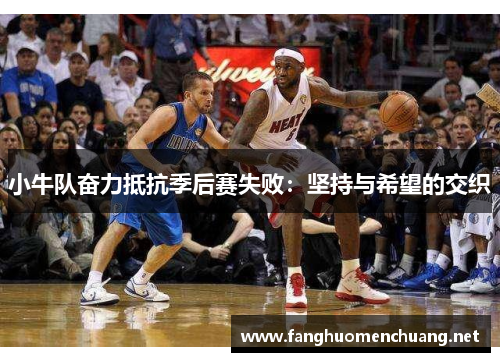 小牛队奋力抵抗季后赛失败：坚持与希望的交织